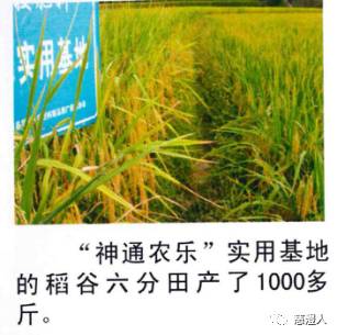 北京神通農樂生物高科技技術轉讓 綠色農業的創新驅動